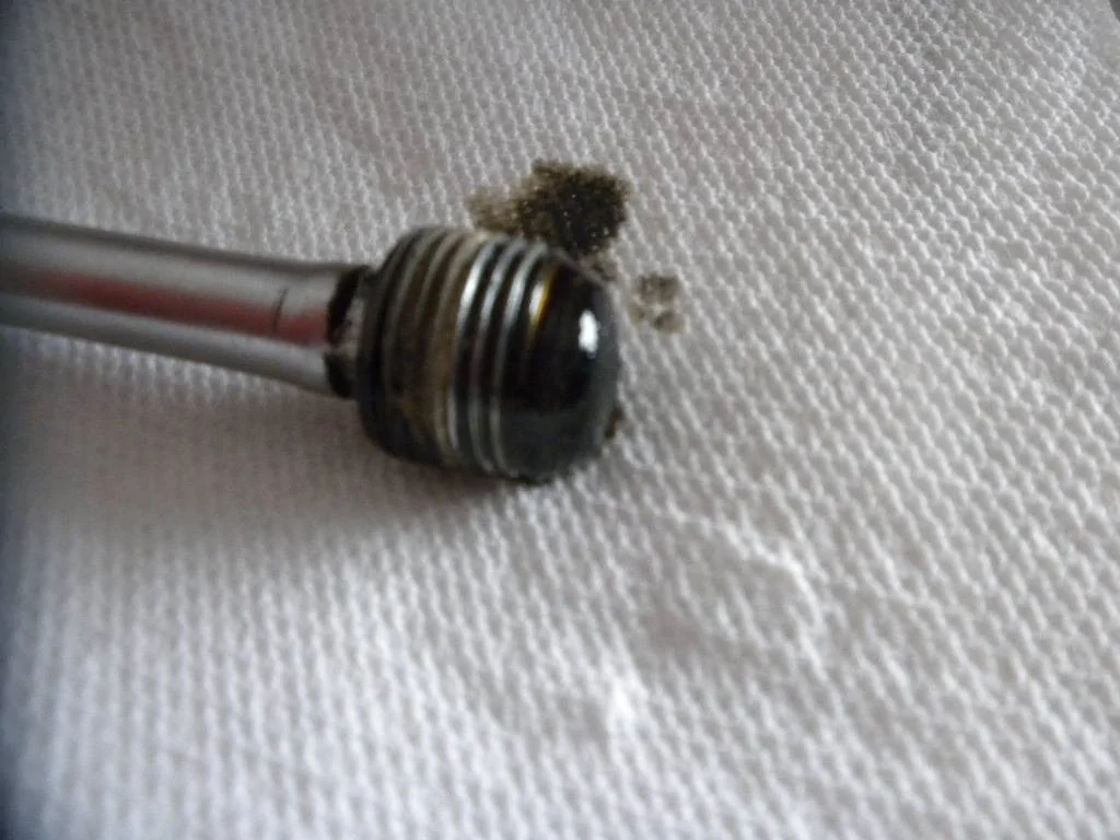 DSCN8859.webp