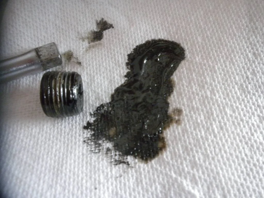 DSCN8860.webp