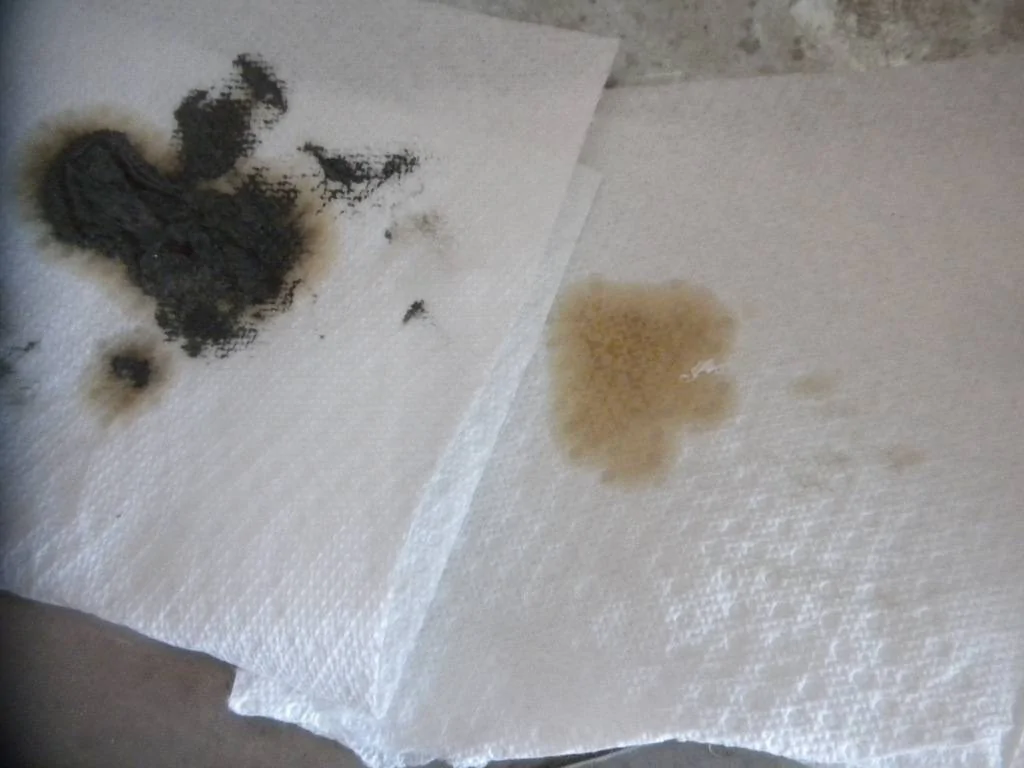 DSCN8864.webp