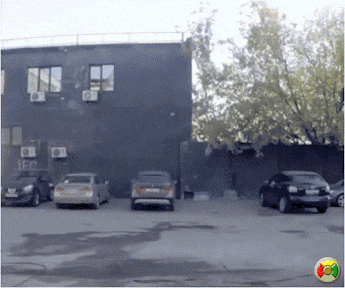 1650760673159.gif