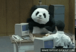 44f4bcfad3110fa5bcc0cb2ea2f40704fc0c94a6d5&rid=200.gif