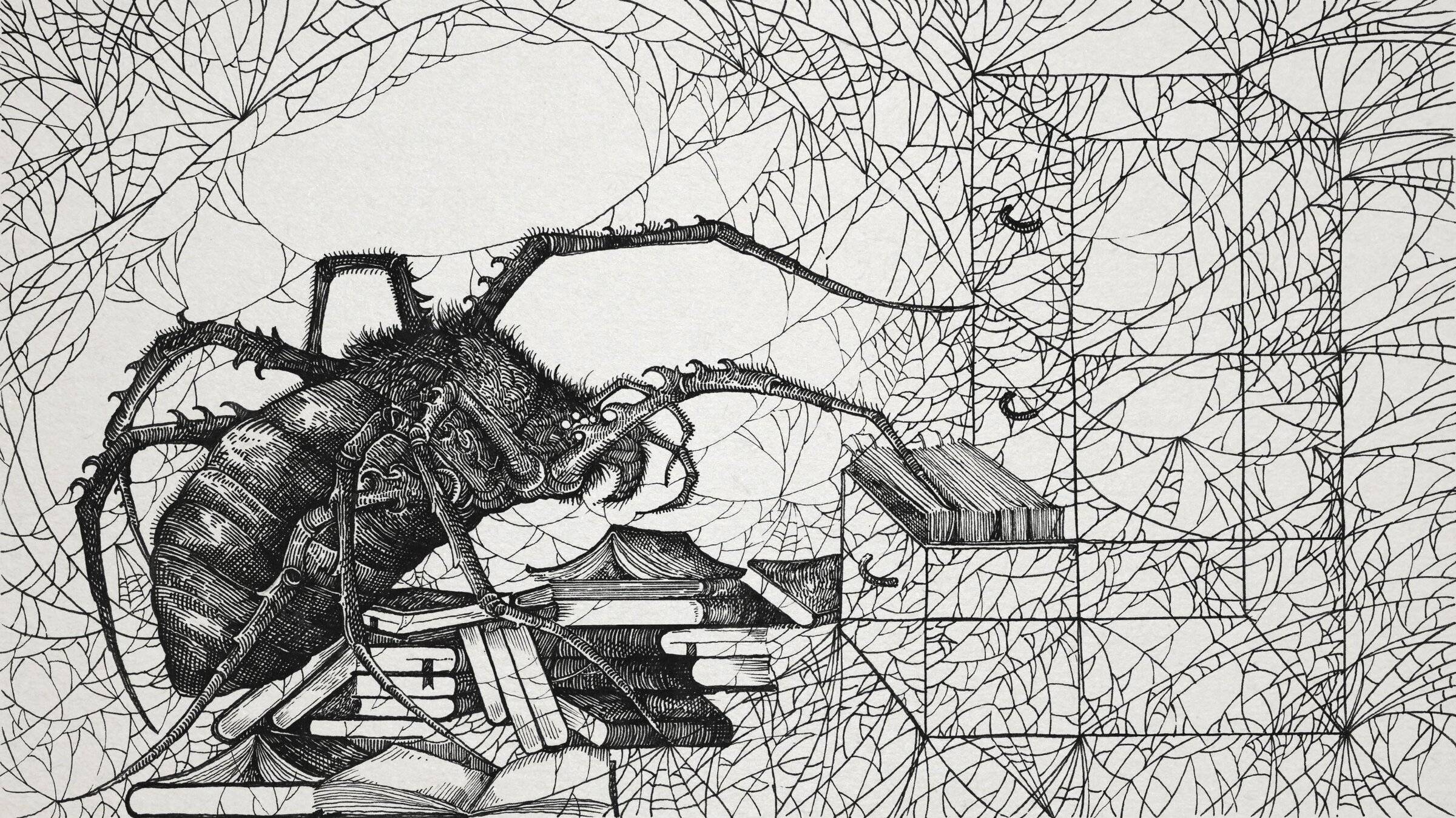 Spider_01.jpg