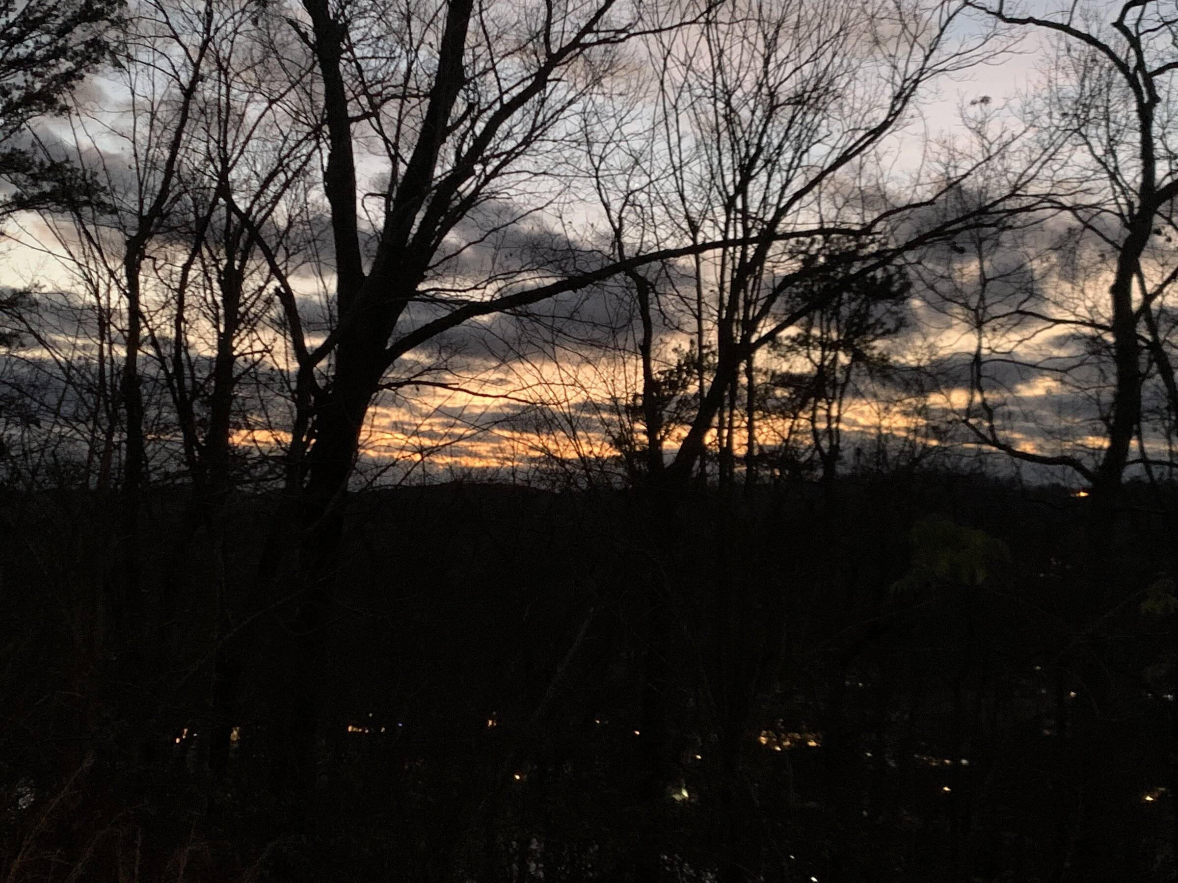 EB23797D-0E8B-439F-9C71-0DCBC678EE25.jpeg