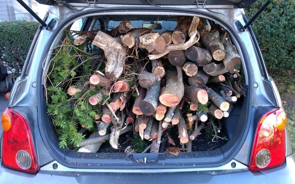 carloaded2.jpg