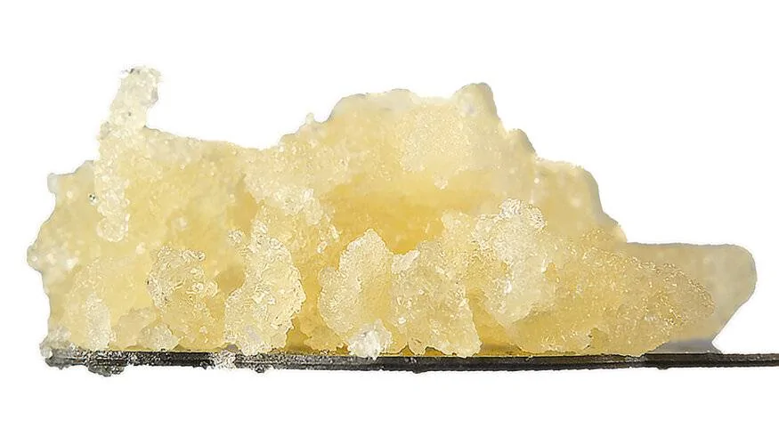 website-extract+closeups_0002_sour.webp