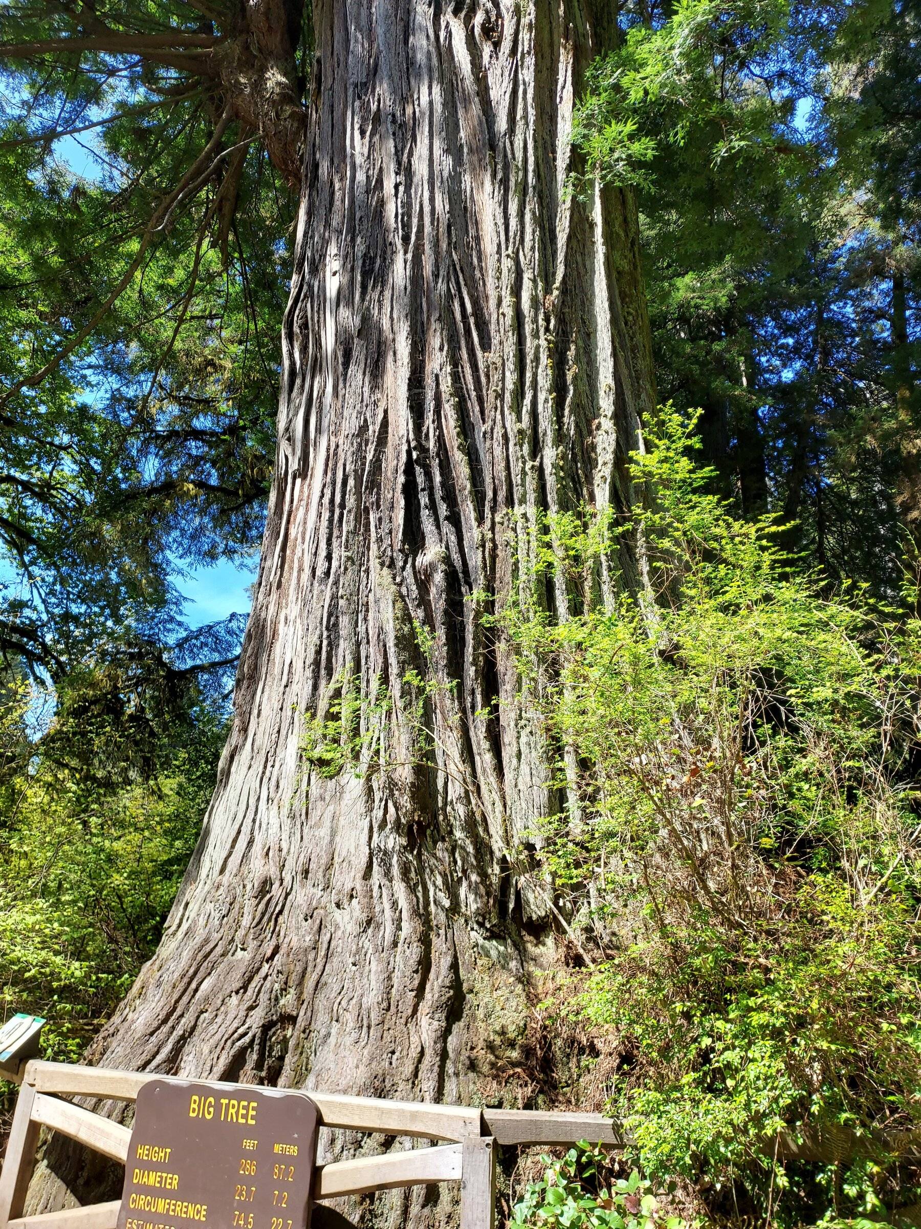 20220429_111055.jpg