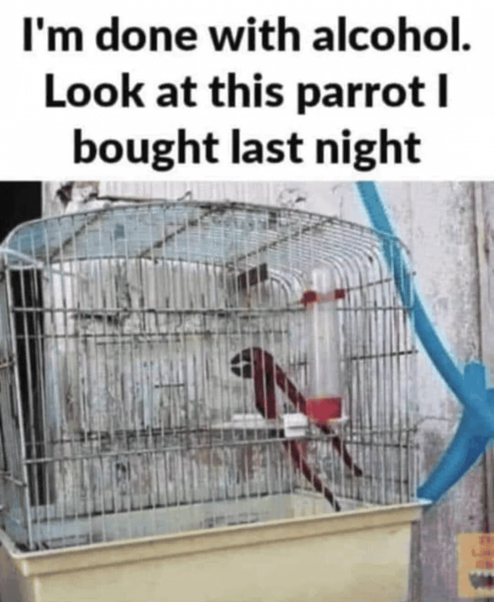 1651840481697.webp