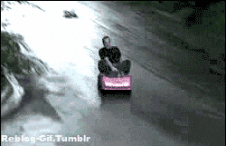 giphy (1.gif