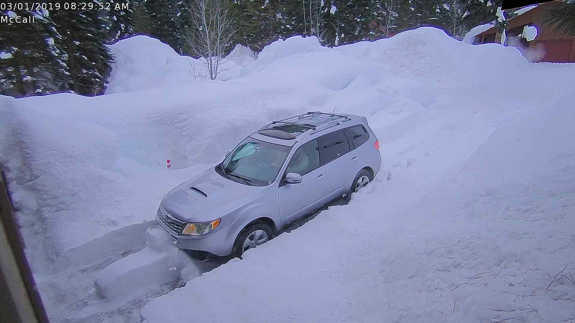 forester push.jpg