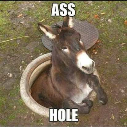 hole.jpg