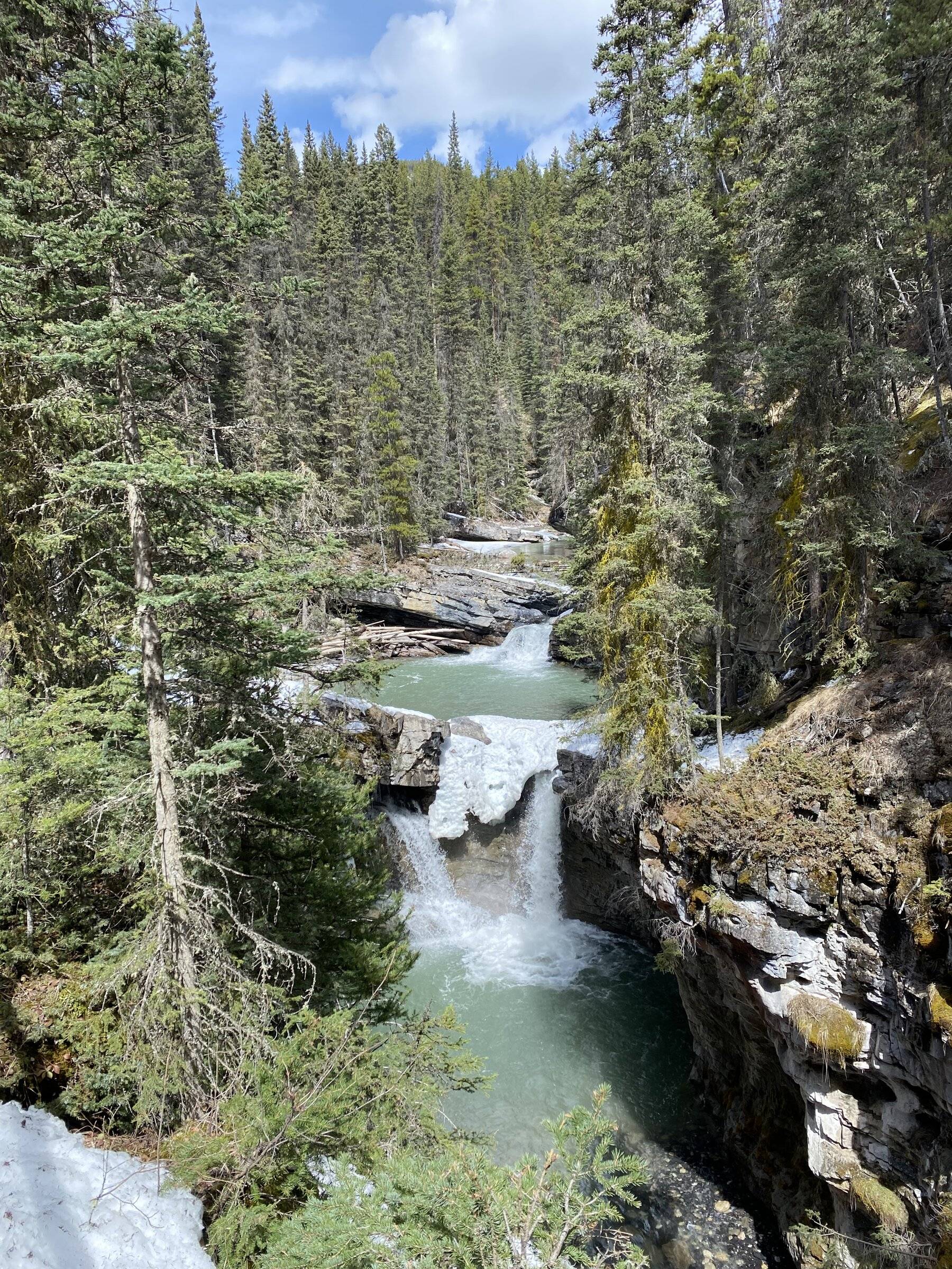 1966985F-324E-43D8-904D-F39DD47F8F9D.jpeg