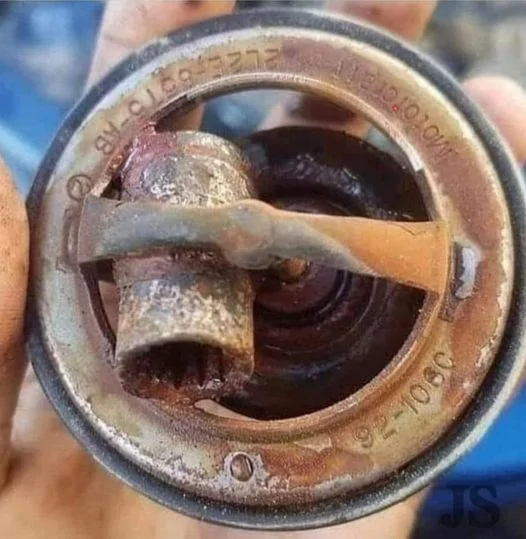 10mm.webp