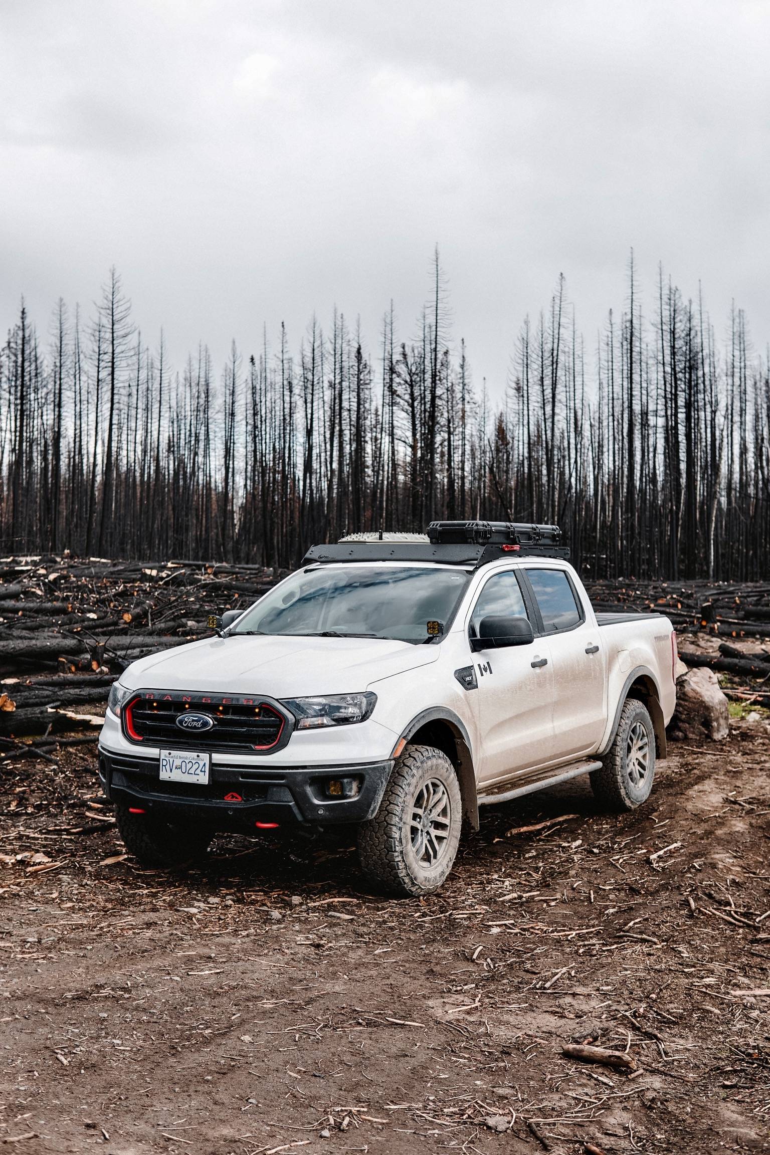 691101F3-9F13-4951-A8E1-F422CC721C66.jpeg