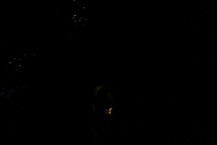 IMG_0563_1.webp