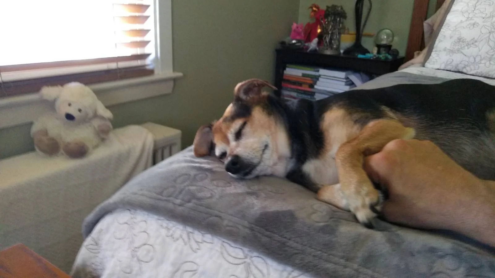 hard-hot-day.jpg