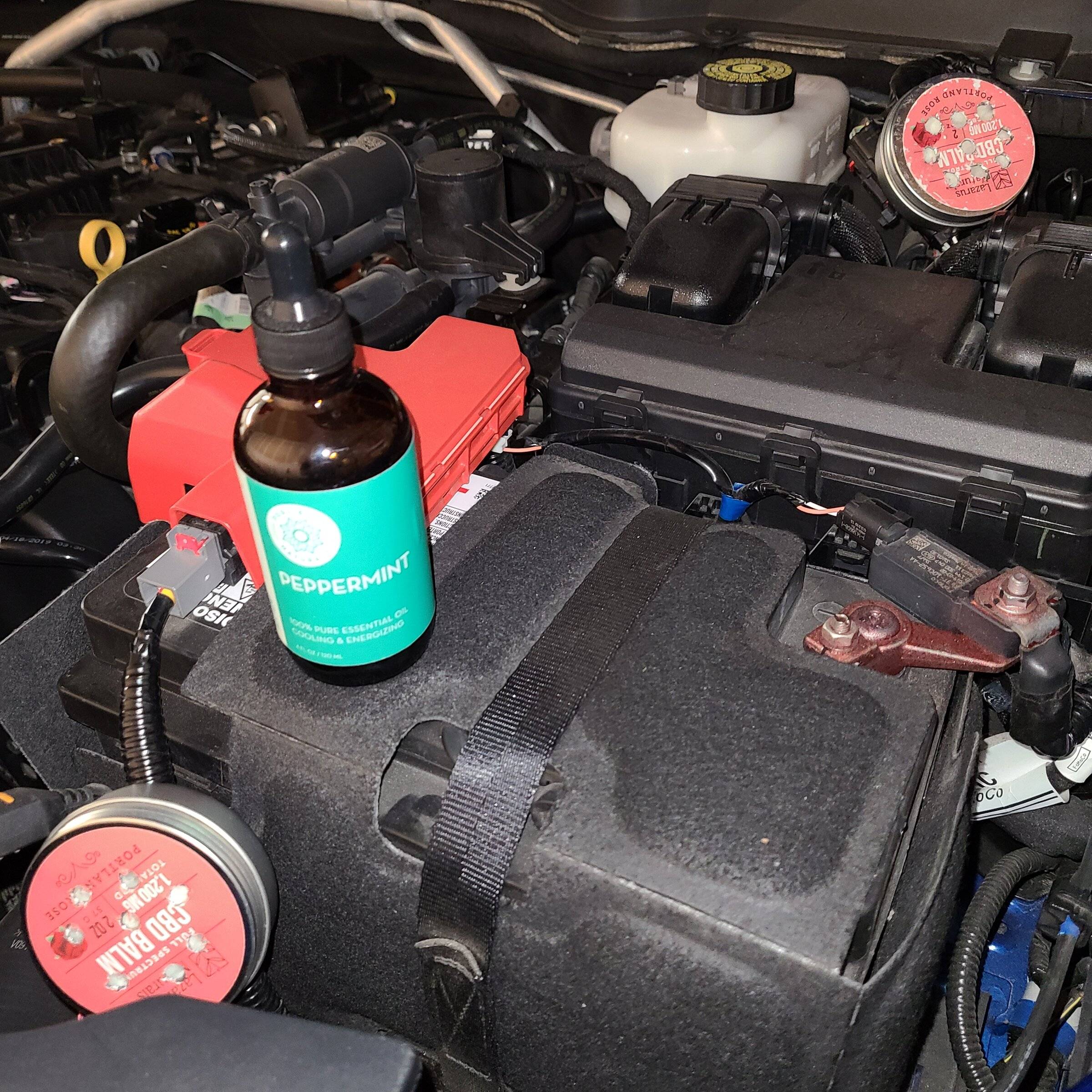 CBD cans with Peppermint Oil.jpg