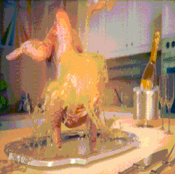 Dancing Turkey.gif