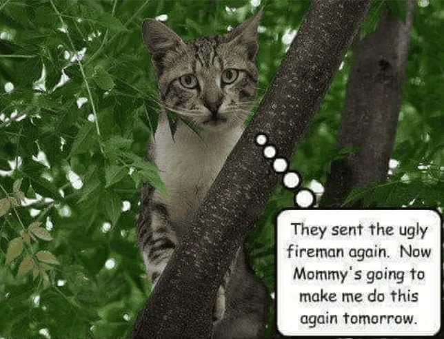 Picky about firemenM6.webp