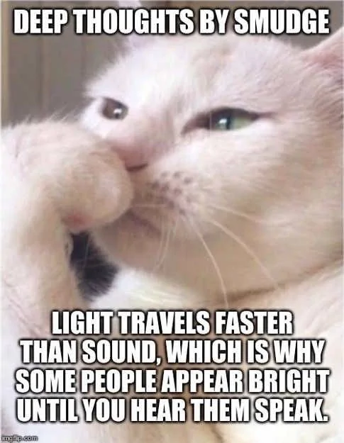 6418B16F-ED38-460E-B935-D06C9F83BB91.webp