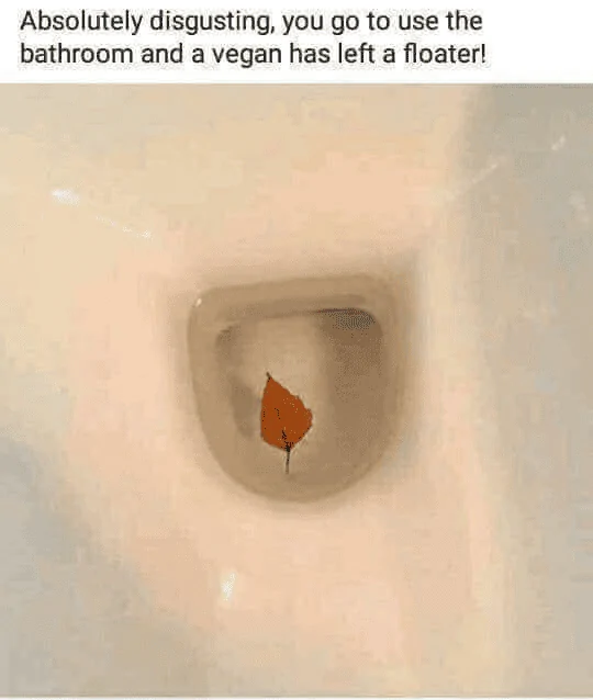 Vegan Floater.webp