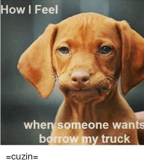 how-i-feel-when-someone-wants-bdrrow-my-truck-cuzin-7127559.webp