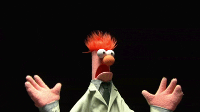 image-asset.gif