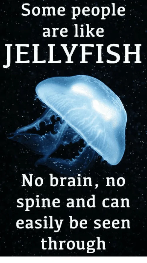 some-people-are-like-jellyfish-no-brain-no-spine-and-4771853.webp