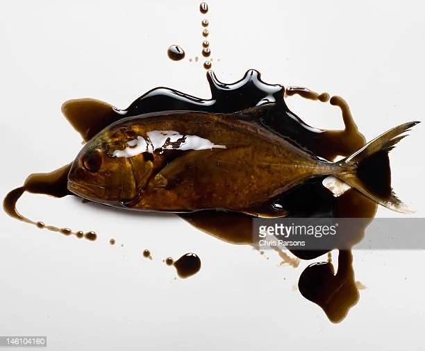 gettyimages-146104160-612x612.webp