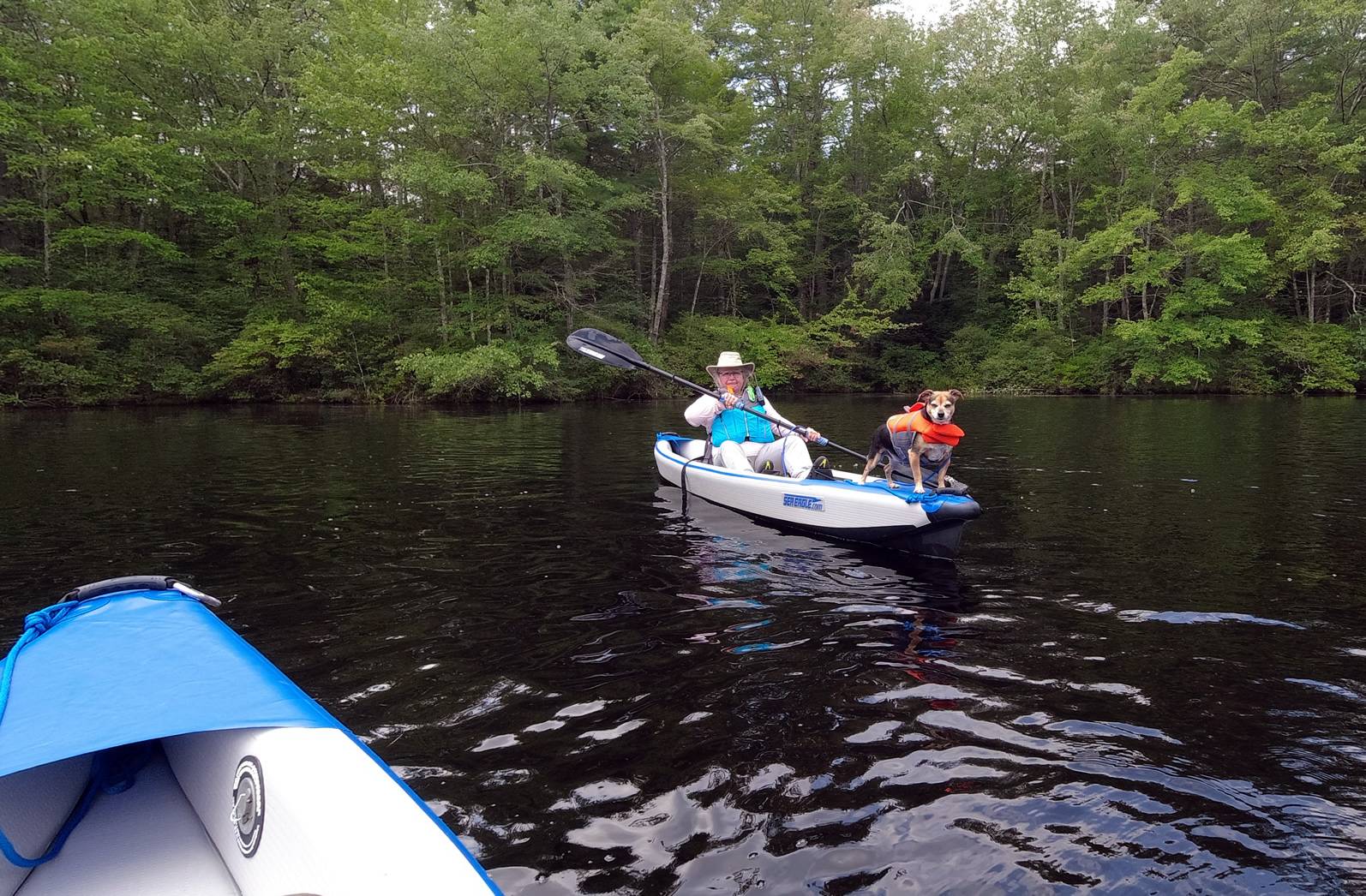 kayak.jpg