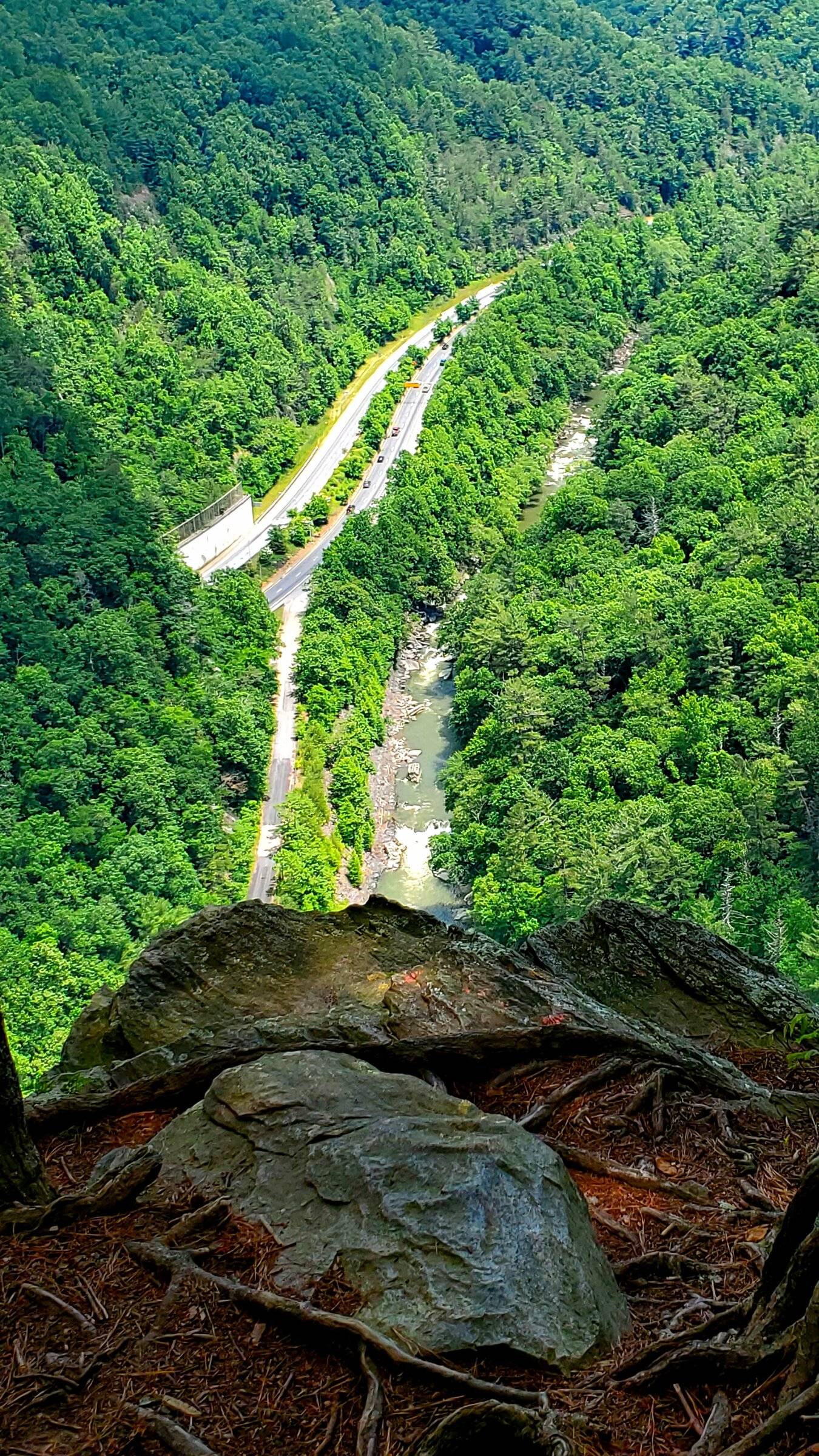 20220530_125447.jpg