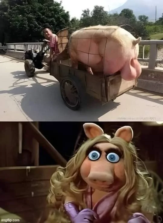 Balls M6.jpg