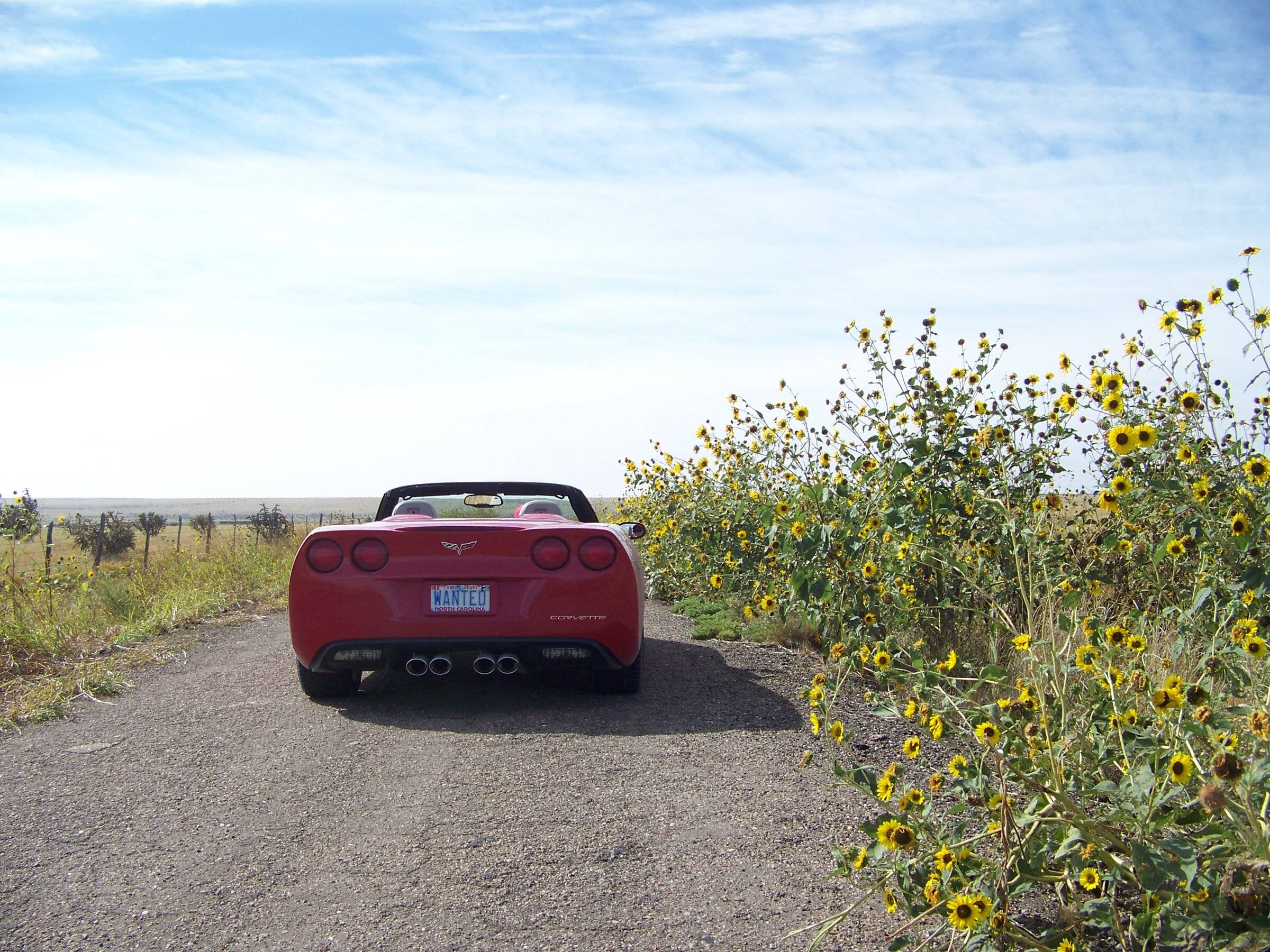 Rt 66 2015 007.JPG