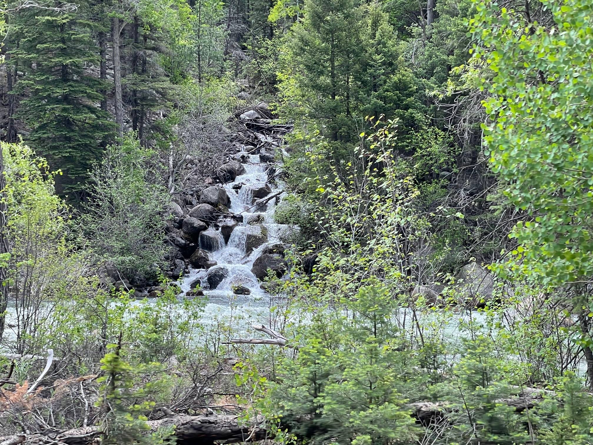 IMG_5743.jpg