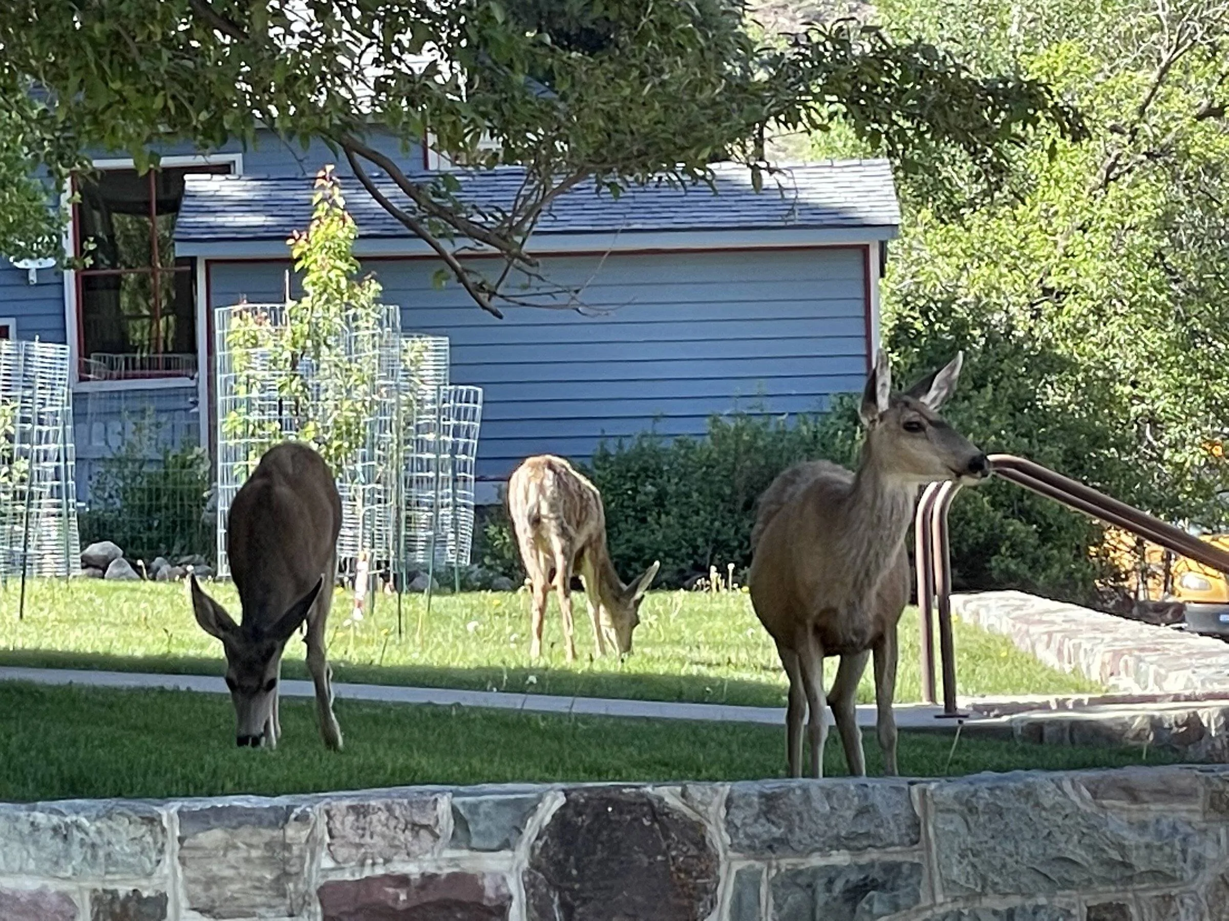 IMG_9283.jpg