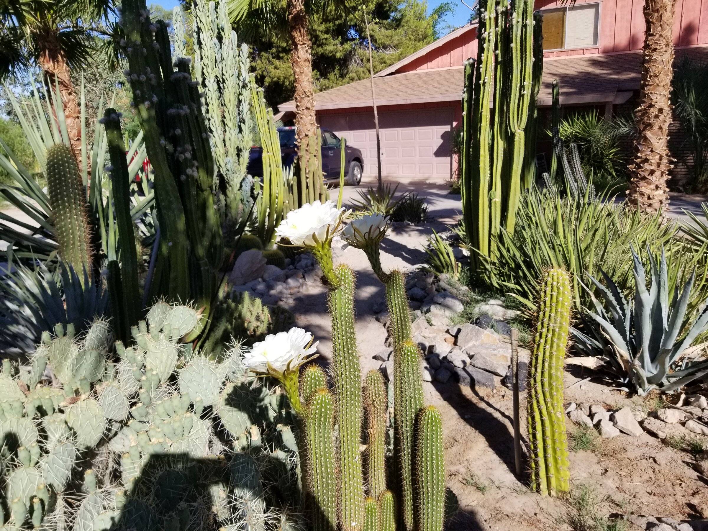 20220608_081539.jpg