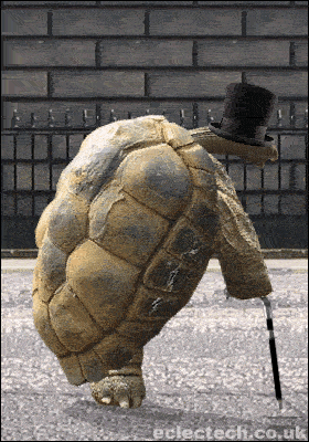 Tito Walking Home.gif