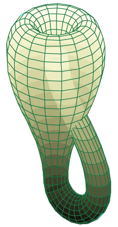 240px-Klein_bottle.svg.png