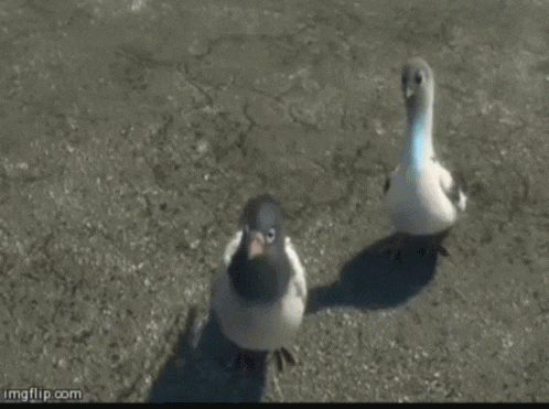 bolt-aliens.gif