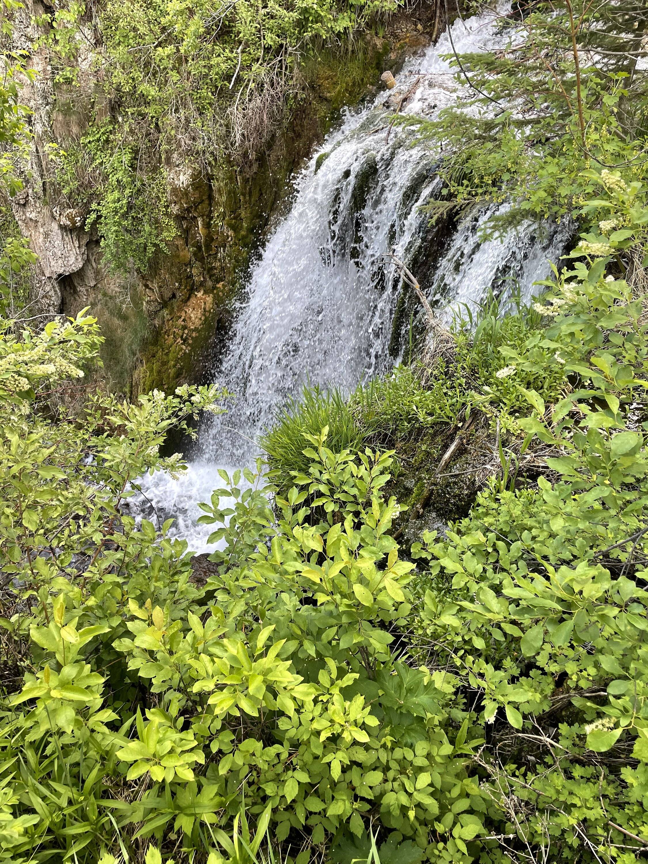 438750B0-CA2A-4A3C-9D56-1CA756C62FF6.jpeg