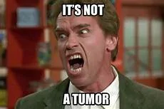 It's Not A Tumor.webp