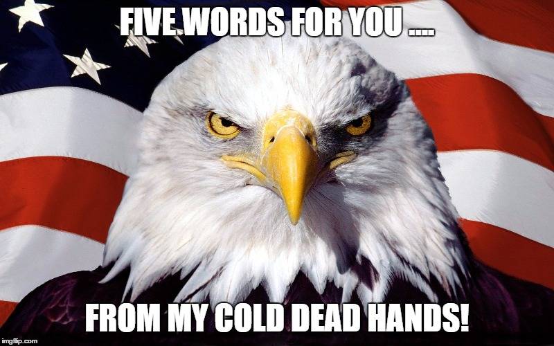 From My Cold Dead Hands.jpg