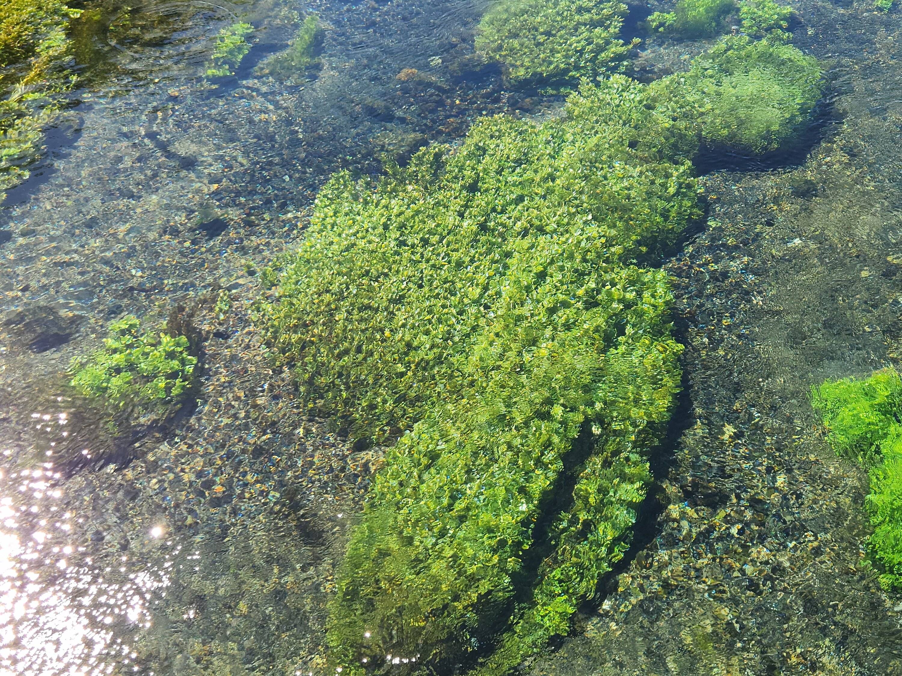 clear water.jpg