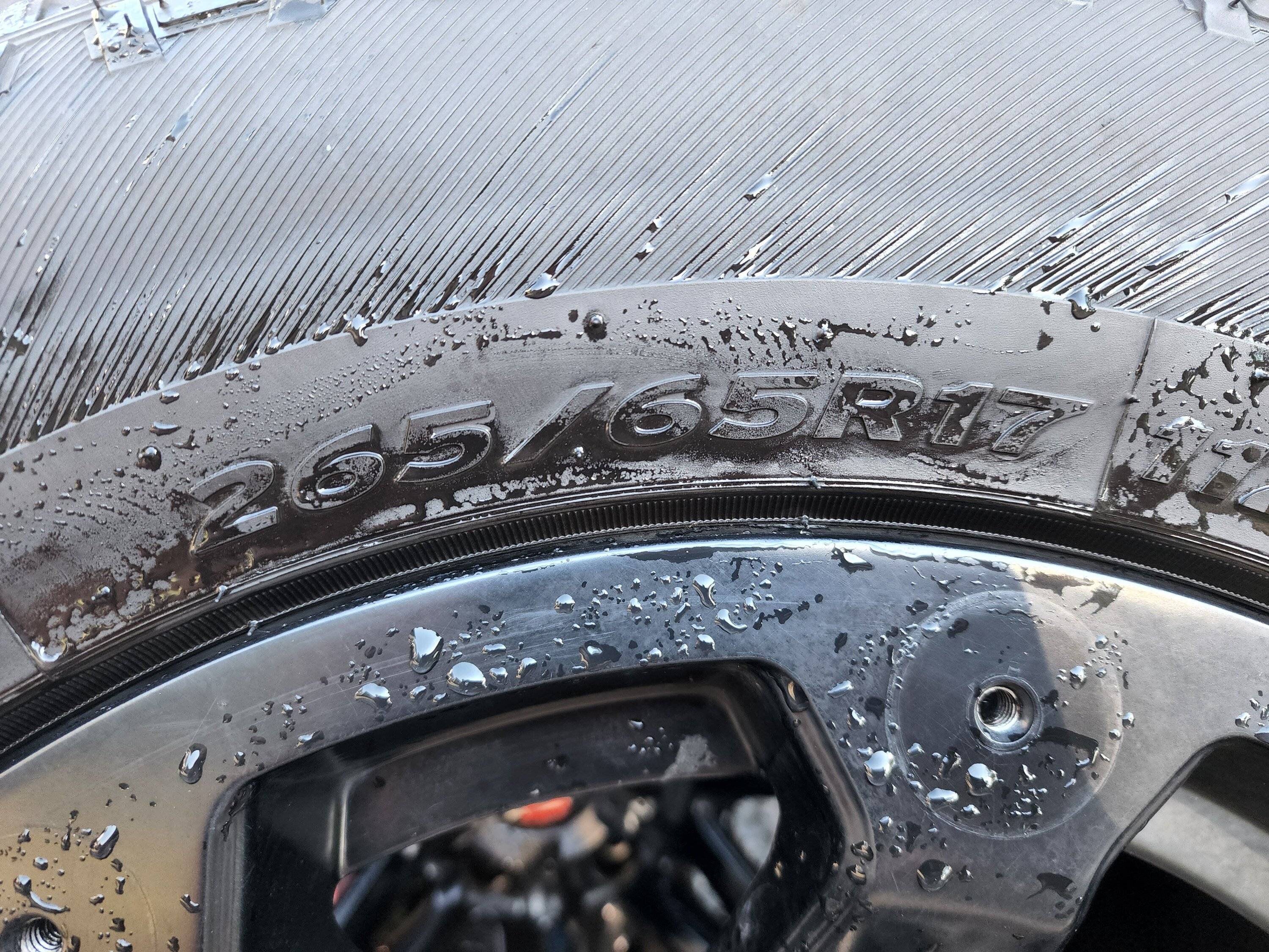 20220625_173230.jpg