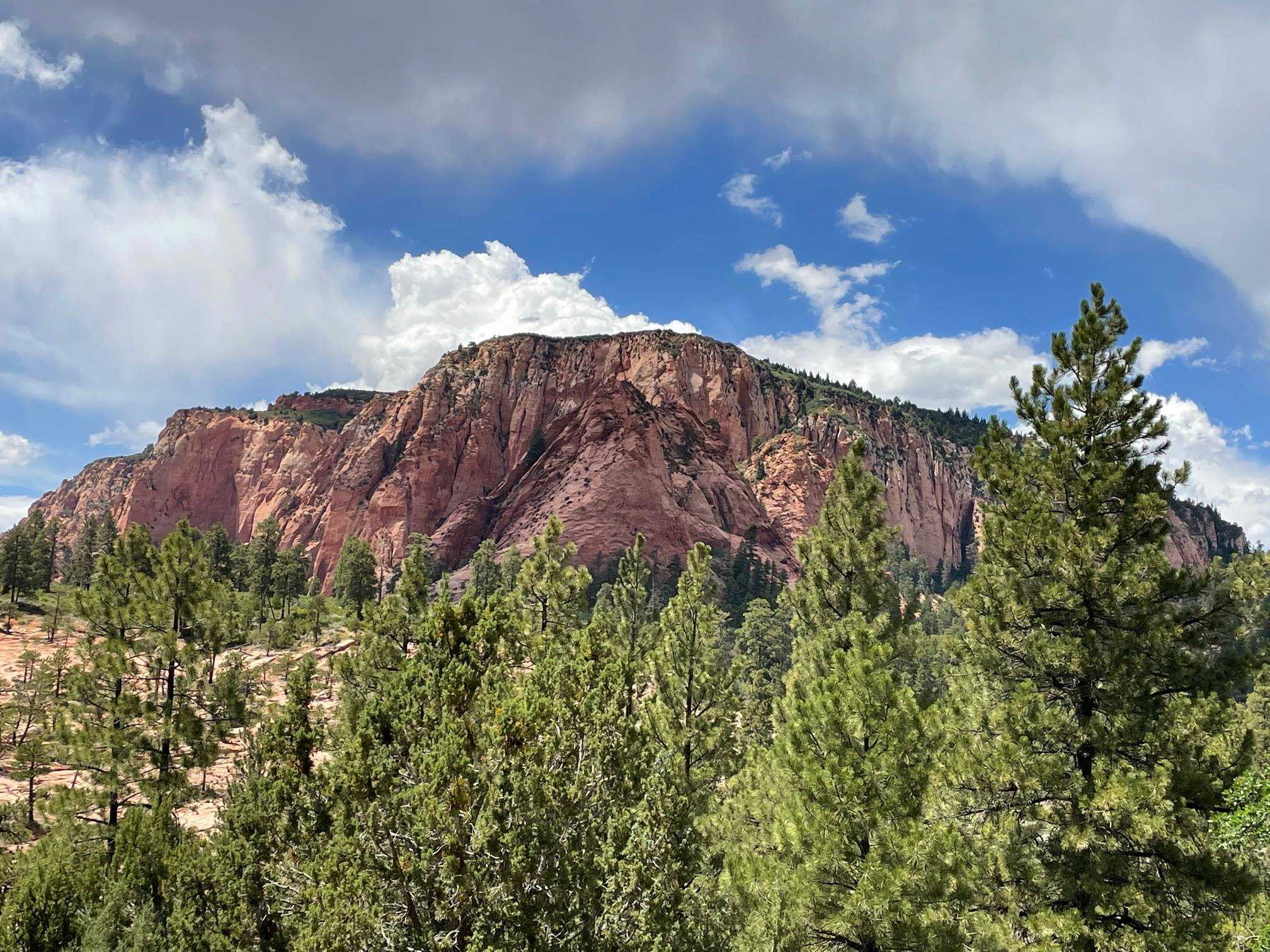 IMG_7079.jpg