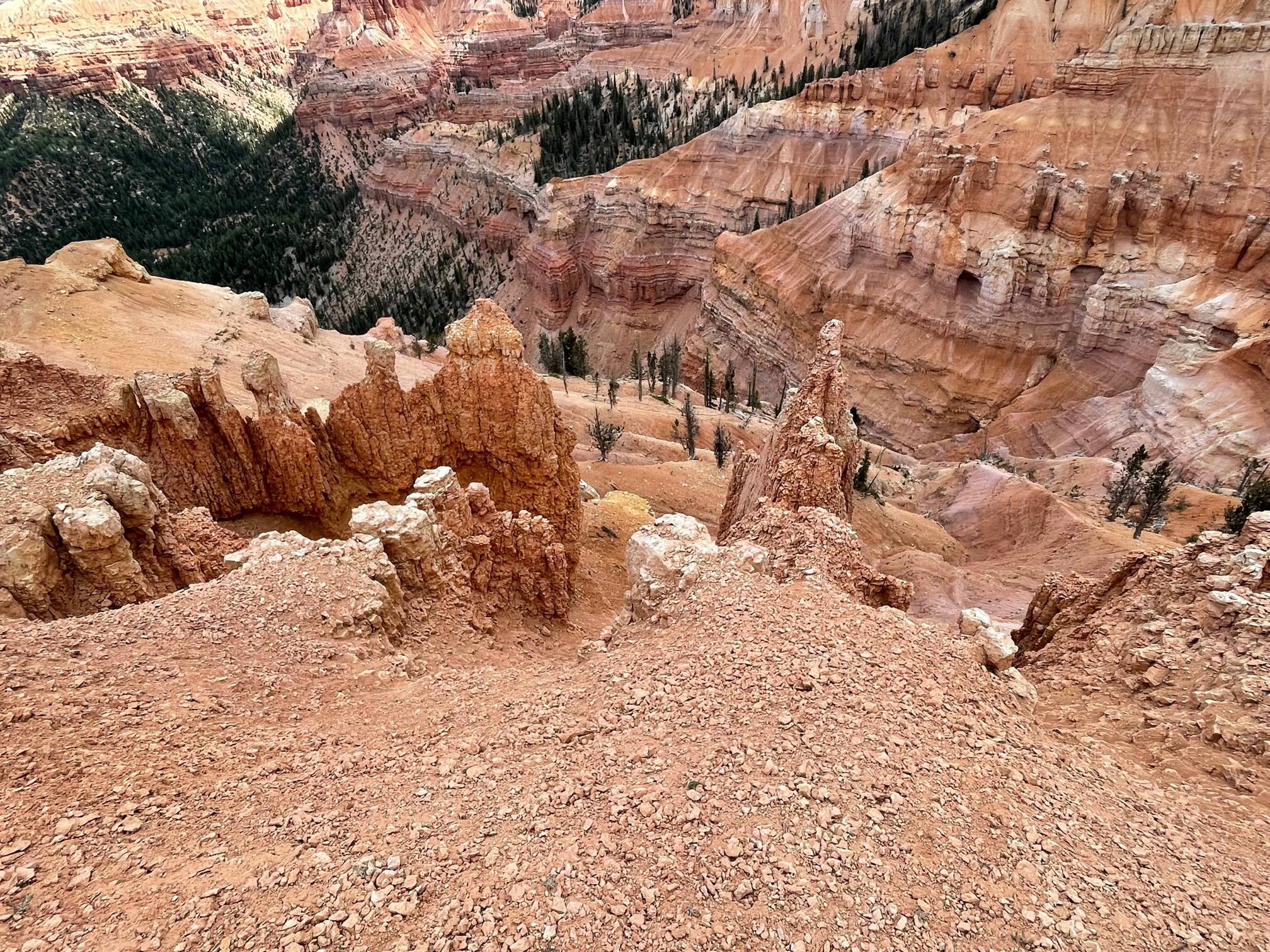 IMG_7190.jpg