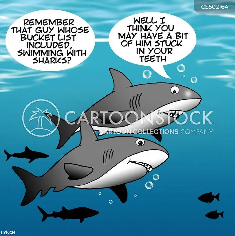 animals-bucket_list-bucket_list-last_wish-shark-predator-mlyn4402_low.webp