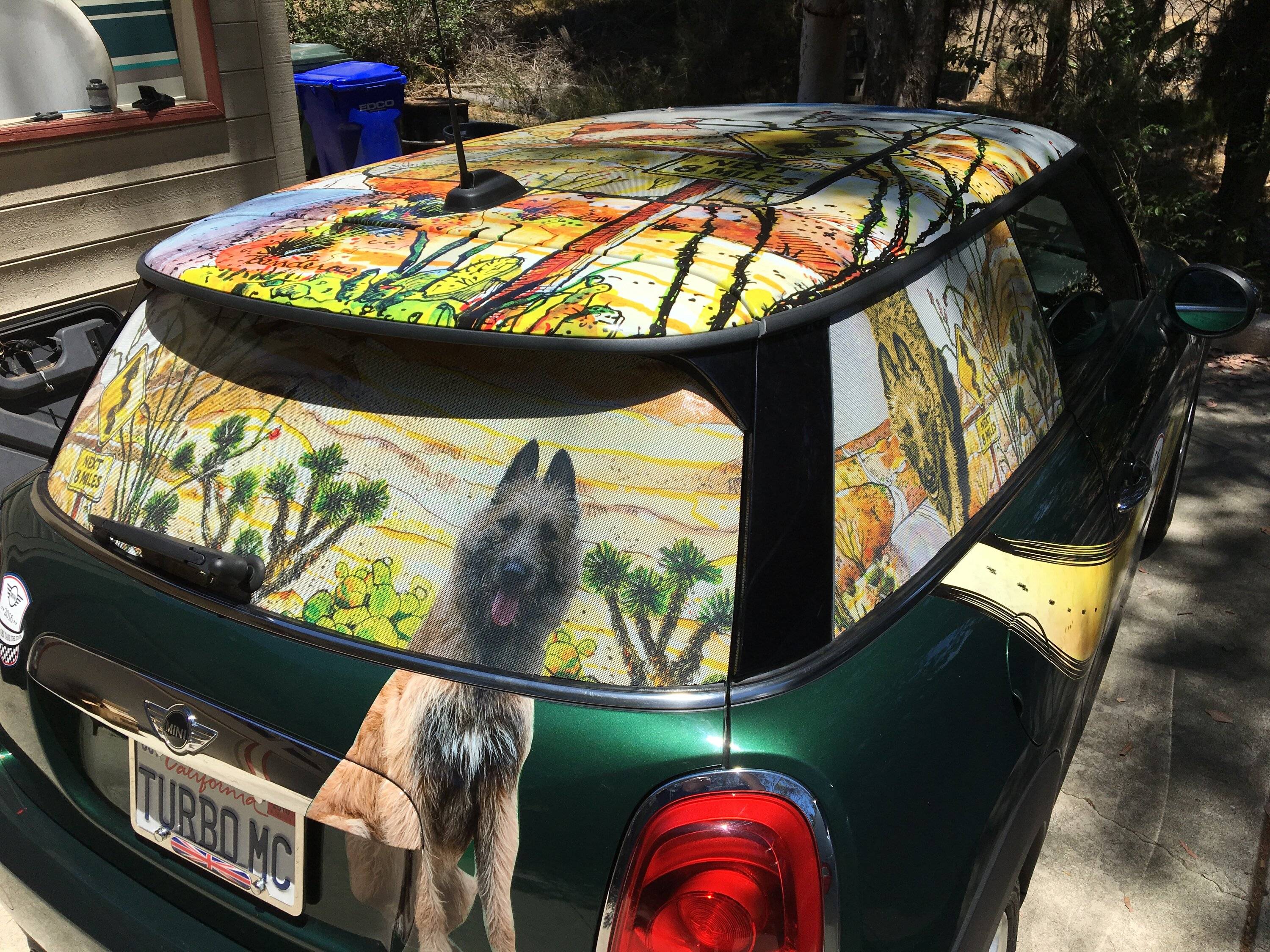 Mini Roof Graphics.JPG
