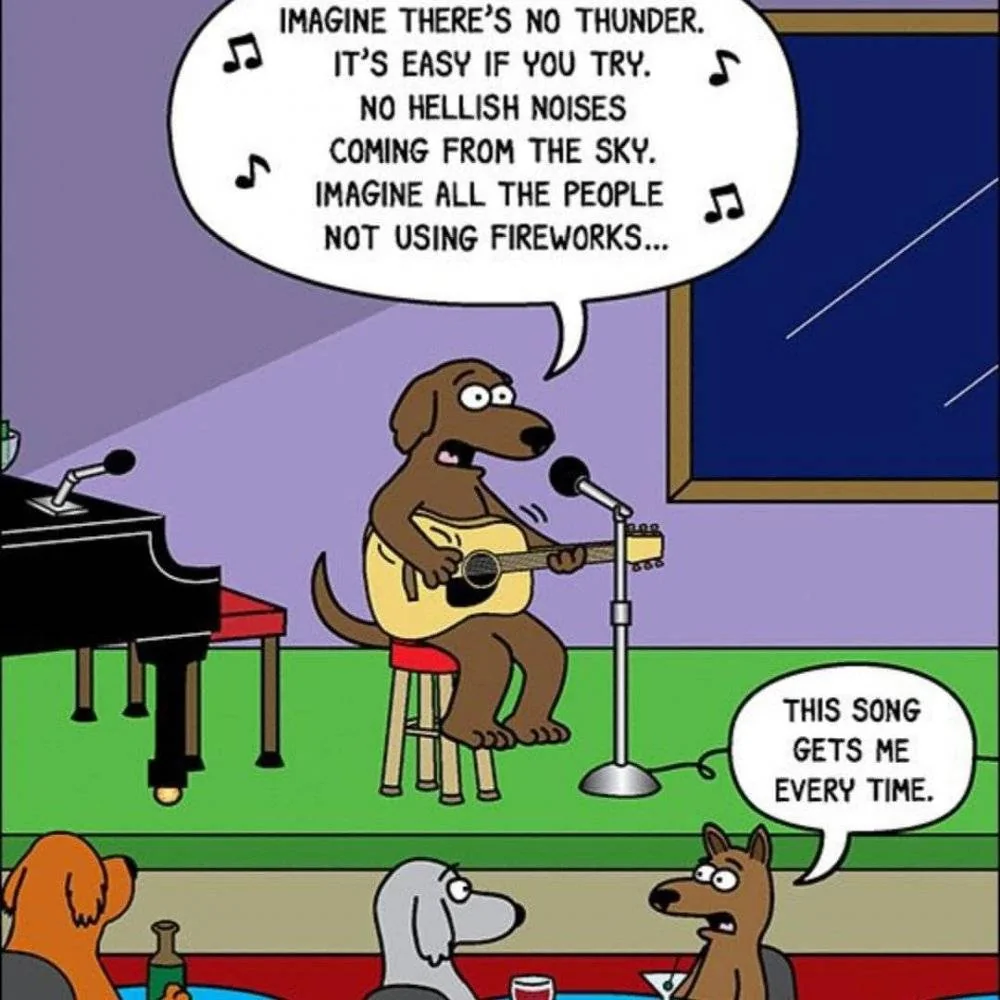 dog wishes.jpg