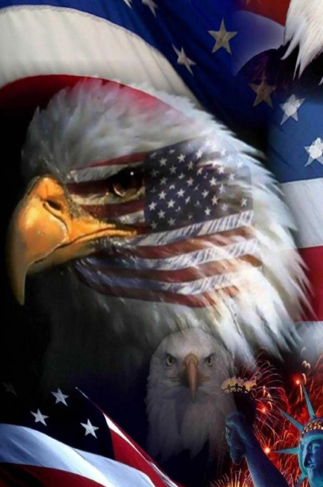 USA 6.webp