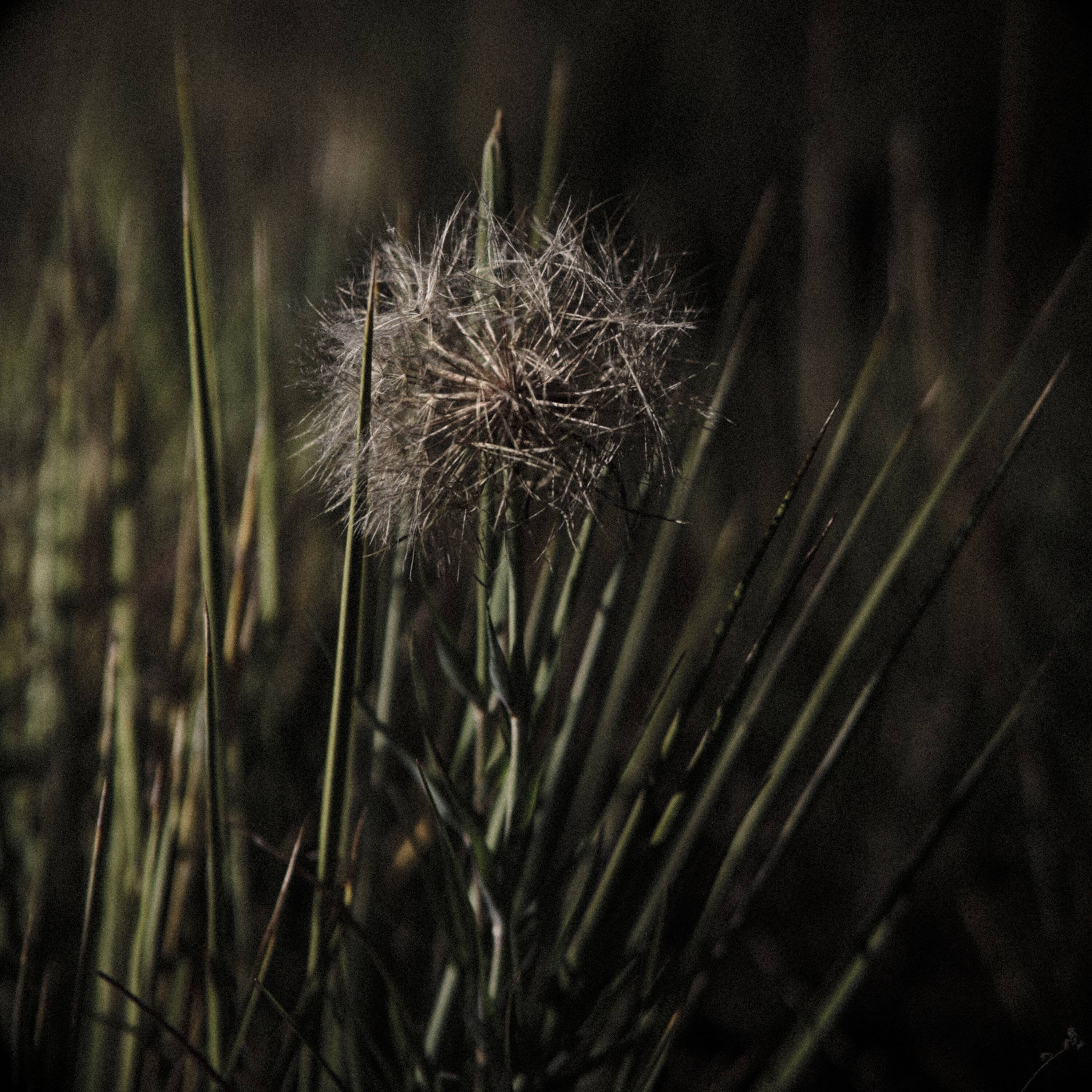 3A3F944C-93C5-41CB-8D8D-E84981DDB9CC.jpeg